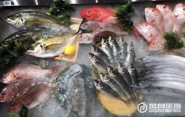 1516008016617350BREg.jpg 微信图片_20180115155033.jpg