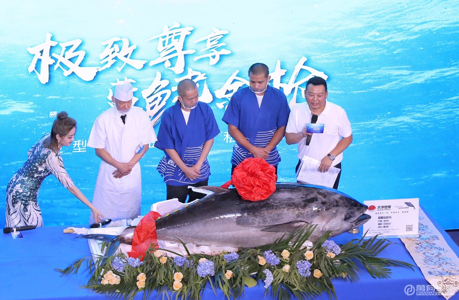 1536216345715324WDne.jpg 20180905B-1(网站用).jpg